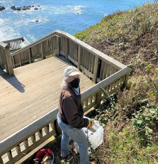 Outstanding Achievement winner Sandy Hayden removing invasive weeds at the Yaquina Head Outstanding Natural Area.
