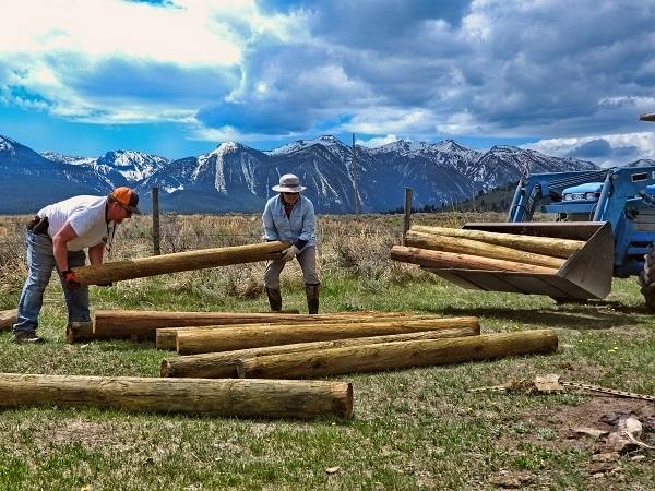 Heavy fence posts getting moved into position. 