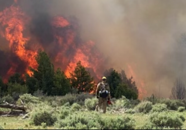 Middle Fire: 20 miles SSW of Meeker