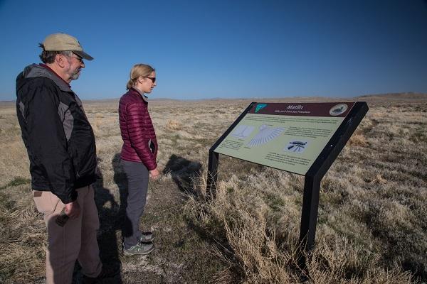 Interpretive signs are located at key sites along the Transcontinental Railroad Backcountry Byway. BLMers Mike Nelson and Cassie Mellon read the sign at Matlin.