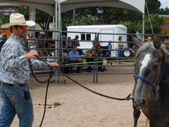 Bryan Mantle works with Butters at the 2019 Cheyenne Frontier Days