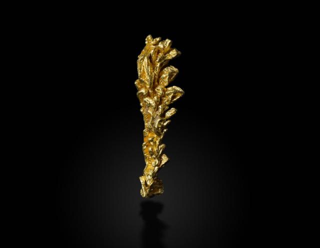 Photo of natural gold