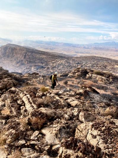 Lone firefighter with a helmet on and in a yellow nomex shirt walking and carrying a tool in a burned desert area with a canyon behind them and visible smoke drifting up..