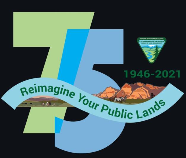 75th Anniversary Logo