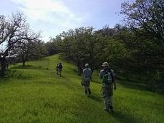 AmeriCorps Members walk through a bright green trail.