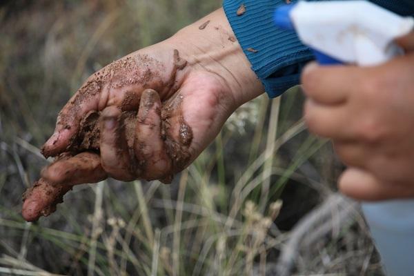 Raven Chavez works with crew members on analyzing and documenting physical soil properties such as soil structure and texture. 