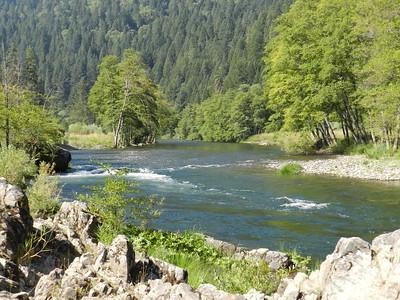 River in a forest. Photo by Eric Coulter, BLM.