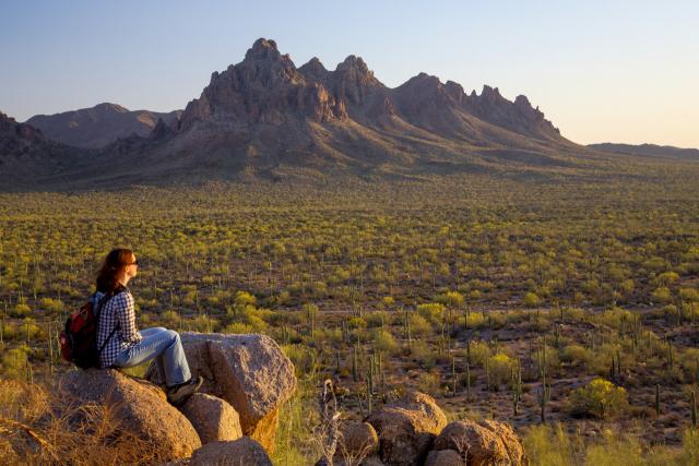 A woman views a desert landscape.