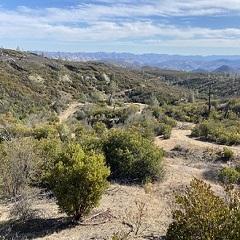 Dry hills with brush and an abandoned mine. Photo by Molly Nillson, BLM
