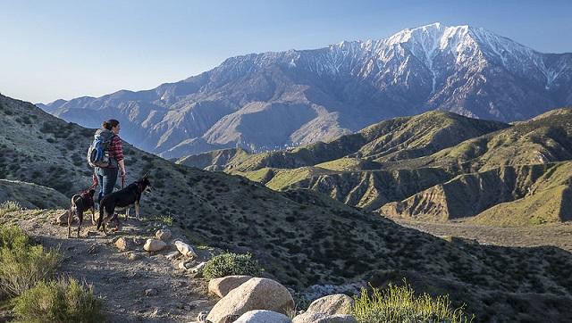 Woman with dogs hikes a trail. (Bob Wick, BLM)