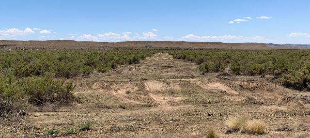 Fuel break with cleared vegetation, blues skies, and clouds. 