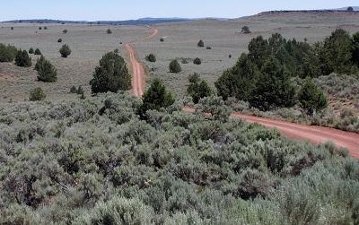 A dusty road winds through high desert.