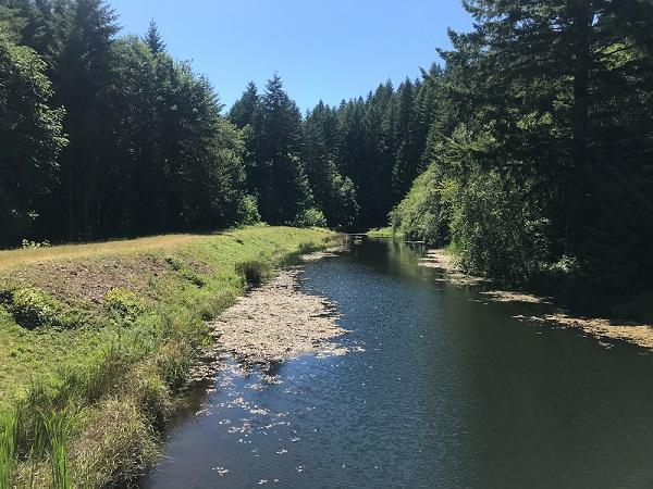 Water beside the Hult Dam spillway dike