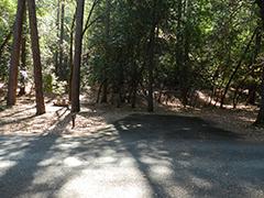 A campground next to a forest. 