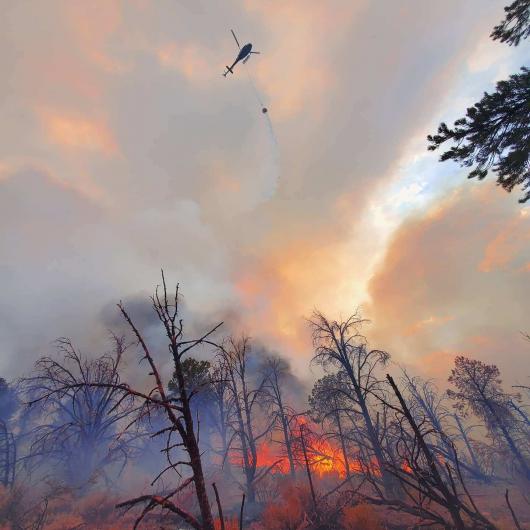 Helicopter with bucket dropping water on fire within burning trees 