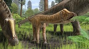 graphic image of diplodocus dinosaur with long neck and long tail eating a leave next to the hind quarters of a full grown diplodocus