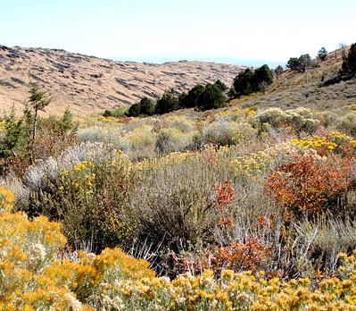 Fall image of high desert public lands of northeast California 