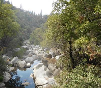 A creek runs through large boulders in the forest.