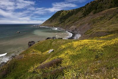 A coastal mountain range.