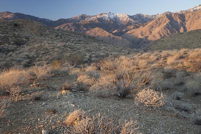 Desert mountains capped with snow.