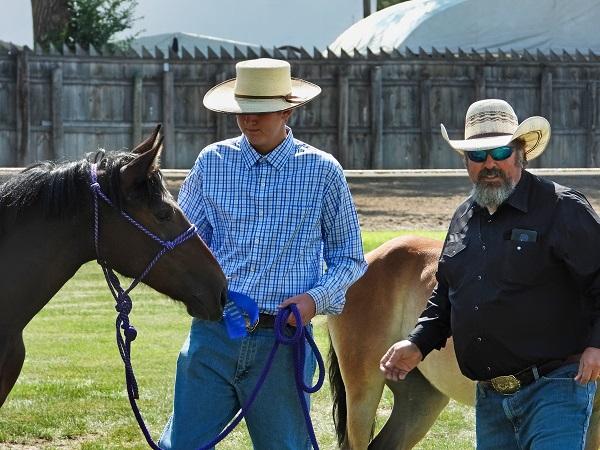 Two men standing with a haltered horse. 