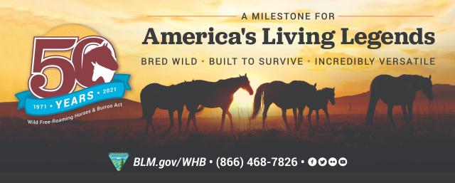 Banner with commemorative logo and horses on a hillside. 