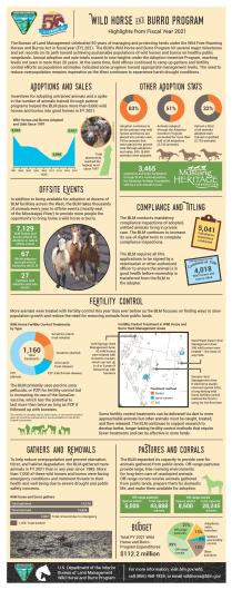 An infographic displaying key data about the Wild Horse and Burro Program. Data can be found at blm.gov/whb
