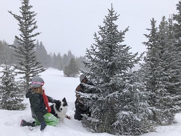 Man with a girl and dog cutting down a Christmas tree