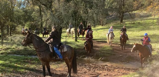 Horses with riders crossing a creek