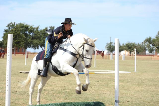 Rider and horse jumping. 