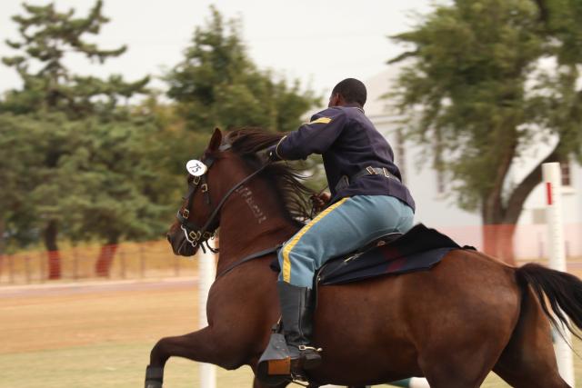 Rider on horseback