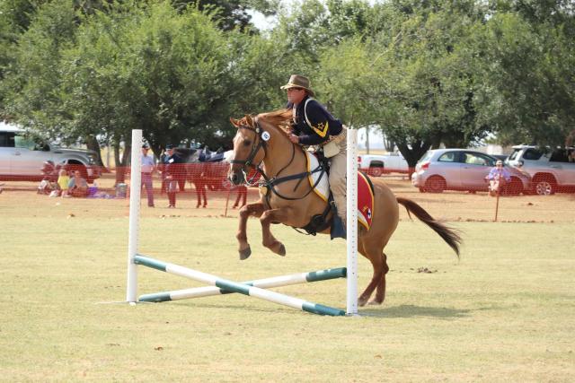 Rider and horse jumping. 