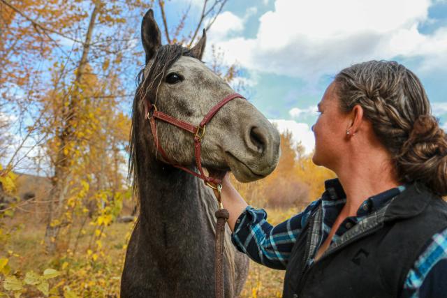 Girl looking at horse.