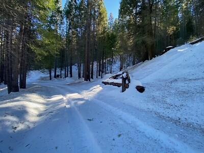 Snow covered road in the forest.