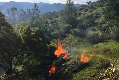 Prescribed burn on a green hill side 