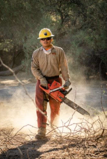 Intern in safety gear holding an orange chainsaw