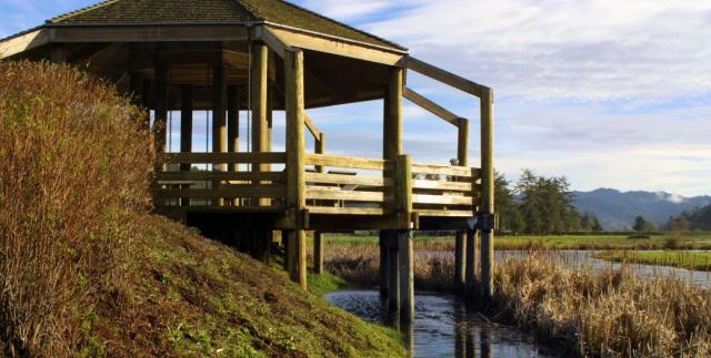 A wildlife lookout on public lands