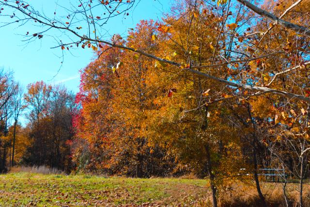 Meadowood Special Recreation Management Area