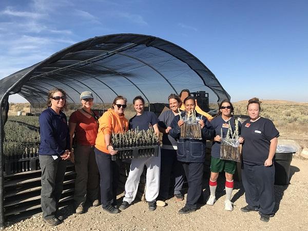 Sagebrush in Prisons members holding sagebrush seedlings.