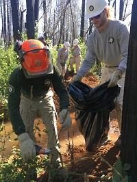 Two volunteers clear brush