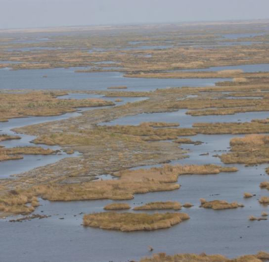 Sabine National Wildlife Refuge