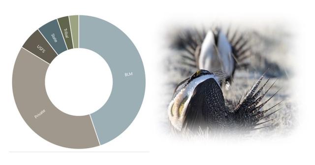 Infographic showing surface ownership of sage-grouse habitat in the U.S.