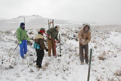 A BLM work crew removes a fence from sagebrush habitat in Wyoming
