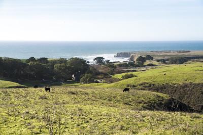 A green pasture land with ocean in the background.