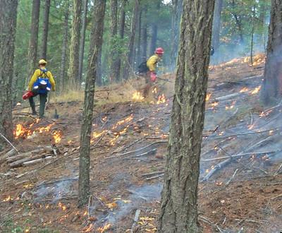 Fire fighters oversee a controlled burn