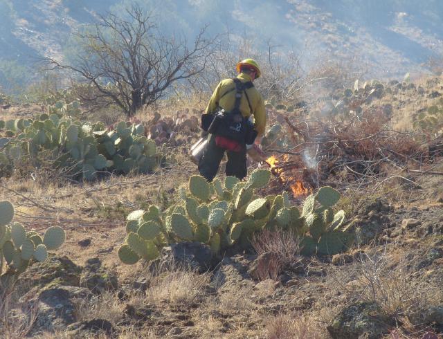 a firefighter ignites a brush pile in a desert landscape