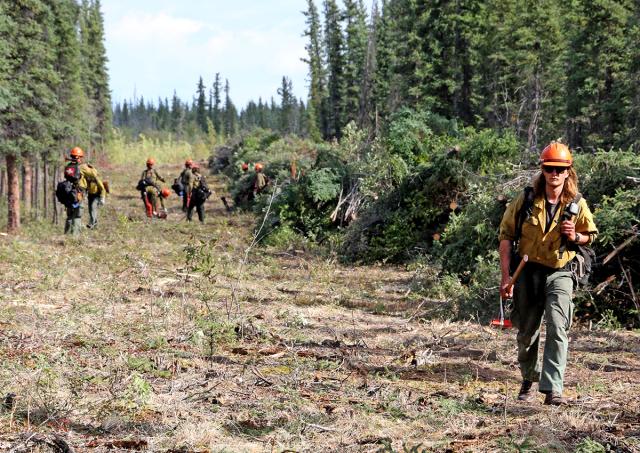 Firefighter walking along saw line with other firefighters working in back of him.