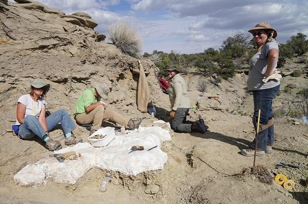 Three volunteers are sitting on the ground with their tools working at the T2 Tyrannosaur excavation site. A fourth volunteer is standing and smiling. 