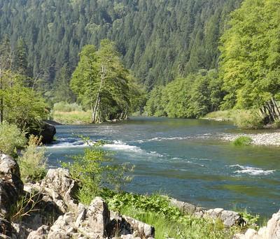 River runs through a forest