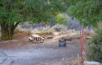 Campsite under oak trees